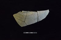 藏品(陶罐)的圖片